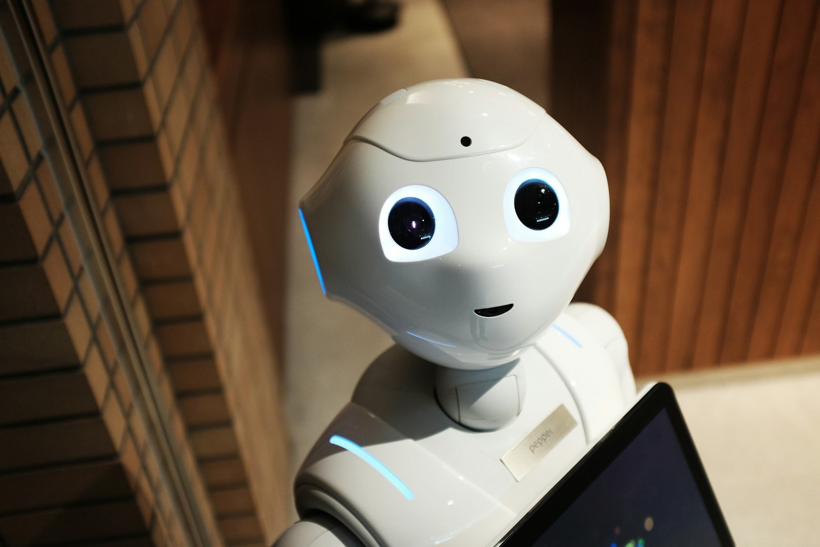 World Robot Conference Opens in Beijing With 150 Product Debuts
